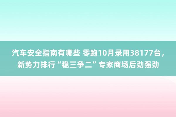 汽车安全指南有哪些 零跑10月录用38177台，新势力排行“稳三争二”专家商场后劲强劲