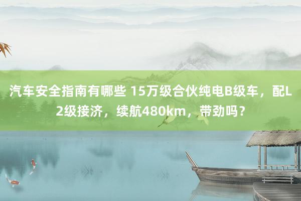 汽车安全指南有哪些 15万级合伙纯电B级车，配L2级接济，续航480km，带劲吗？