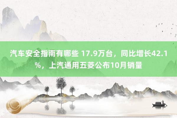 汽车安全指南有哪些 17.9万台，同比增长42.1%，上汽通用五菱公布10月销量