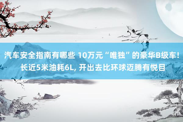 汽车安全指南有哪些 10万元“唯独”的豪华B级车! 长近5米油耗6L, 开出去比环球迈腾有悦目