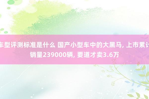 车型评测标准是什么 国产小型车中的大黑马, 上市累计销量239000辆, 要道才卖3.6万