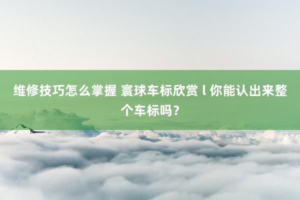 维修技巧怎么掌握 寰球车标欣赏 l 你能认出来整个车标吗？