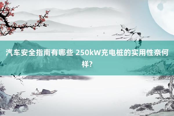 汽车安全指南有哪些 250kW充电桩的实用性奈何样?