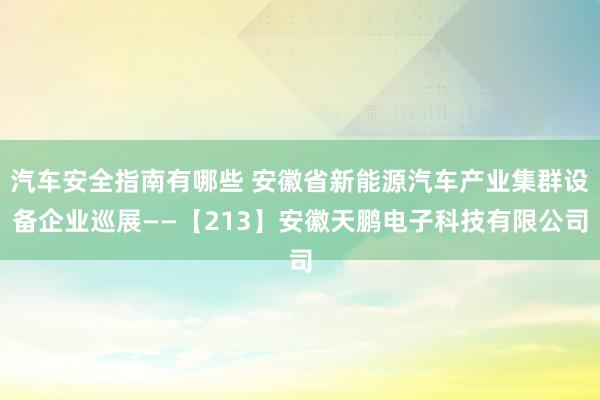 汽车安全指南有哪些 安徽省新能源汽车产业集群设备企业巡展——【213】安徽天鹏电子科技有限公司