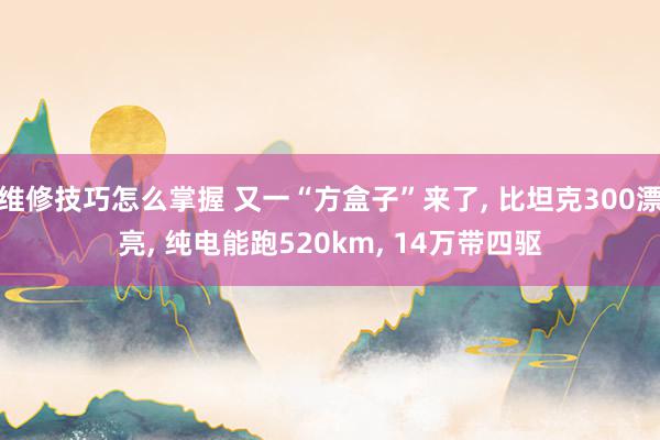 维修技巧怎么掌握 又一“方盒子”来了, 比坦克300漂亮, 纯电能跑520km, 14万带四驱