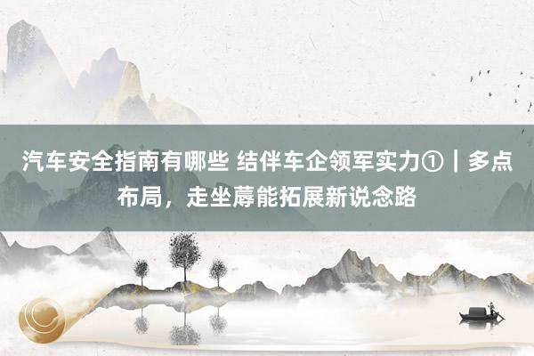 汽车安全指南有哪些 结伴车企领军实力①｜多点布局，走坐蓐能拓展新说念路