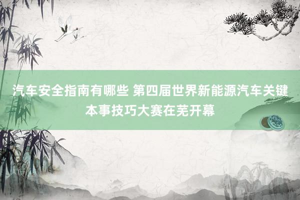 汽车安全指南有哪些 第四届世界新能源汽车关键本事技巧大赛在芜开幕