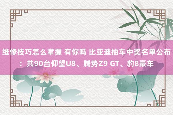 维修技巧怎么掌握 有你吗 比亚迪抽车中奖名单公布：共90台仰望U8、腾势Z9 GT、豹8豪车