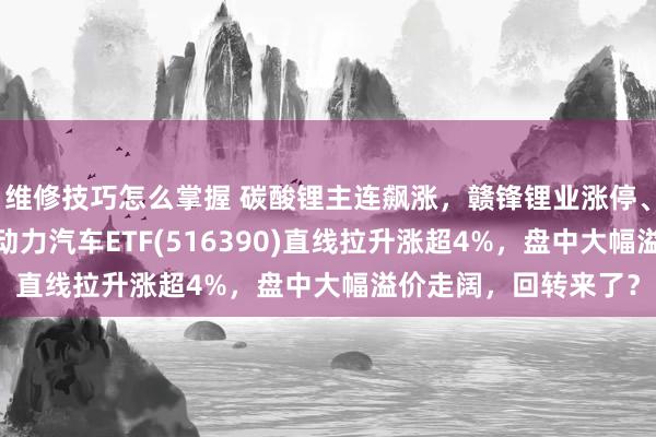 维修技巧怎么掌握 碳酸锂主连飙涨，赣锋锂业涨停、宁德时间涨3%，新动力汽车ETF(516390)直线拉升涨超4%，盘中大幅溢价走阔，回转来了？