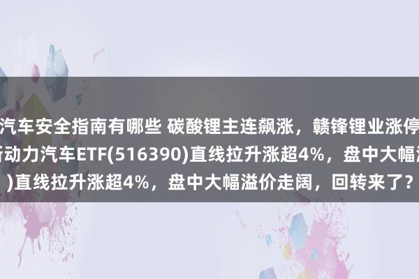 汽车安全指南有哪些 碳酸锂主连飙涨，赣锋锂业涨停、宁德时间涨3%，新动力汽车ETF(516390)直线拉升涨超4%，盘中大幅溢价走阔，回转来了？