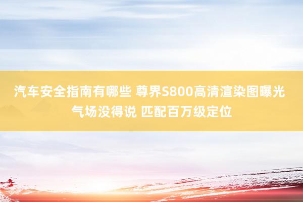 汽车安全指南有哪些 尊界S800高清渲染图曝光 气场没得说 匹配百万级定位