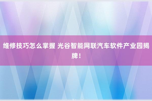 维修技巧怎么掌握 光谷智能网联汽车软件产业园揭牌！