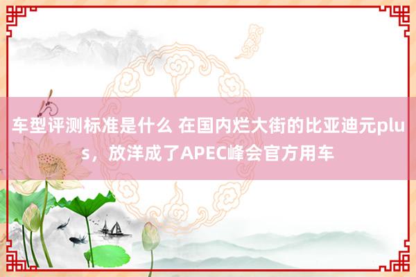 车型评测标准是什么 在国内烂大街的比亚迪元plus，放洋成了APEC峰会官方用车