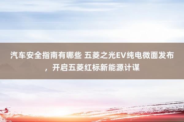 汽车安全指南有哪些 五菱之光EV纯电微面发布，开启五菱红标新能源计谋