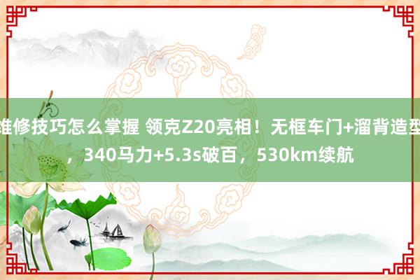 维修技巧怎么掌握 领克Z20亮相！无框车门+溜背造型，340马力+5.3s破百，530km续航