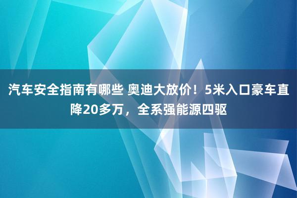 汽车安全指南有哪些 奥迪大放价！5米入口豪车直降20多万，全系强能源四驱