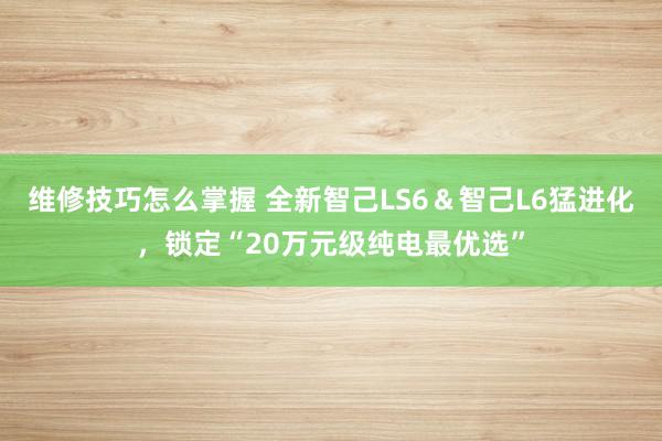 维修技巧怎么掌握 全新智己LS6＆智己L6猛进化，锁定“20万元级纯电最优选”