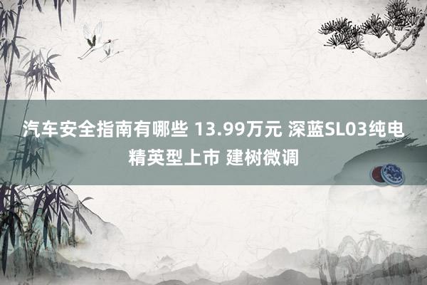 汽车安全指南有哪些 13.99万元 深蓝SL03纯电精英型上市 建树微调