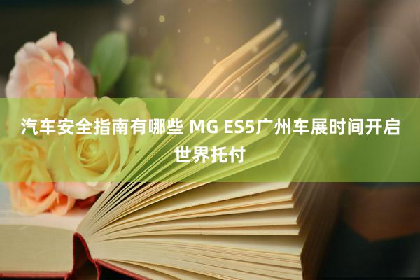 汽车安全指南有哪些 MG ES5广州车展时间开启世界托付