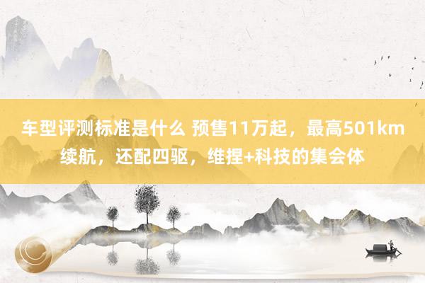 车型评测标准是什么 预售11万起，最高501km续航，还配四驱，维捏+科技的集会体