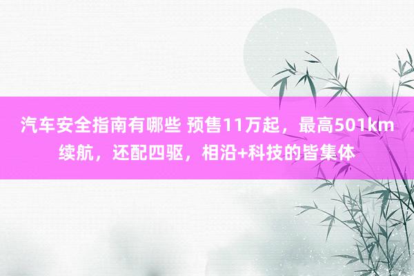 汽车安全指南有哪些 预售11万起，最高501km续航，还配四驱，相沿+科技的皆集体