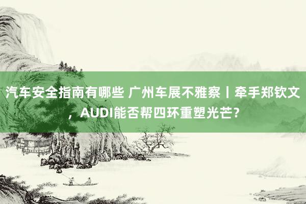 汽车安全指南有哪些 广州车展不雅察丨牵手郑钦文，AUDI能否帮四环重塑光芒？