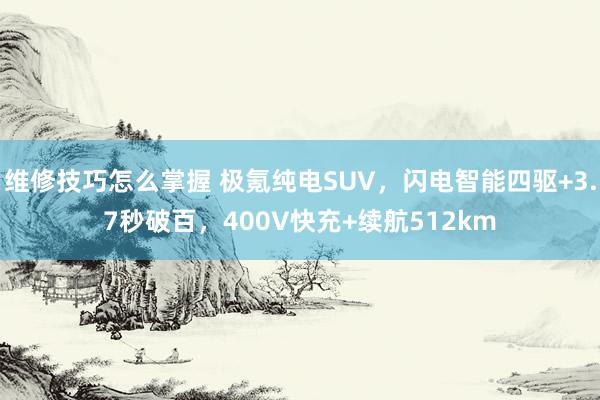 维修技巧怎么掌握 极氪纯电SUV，闪电智能四驱+3.7秒破百，400V快充+续航512km