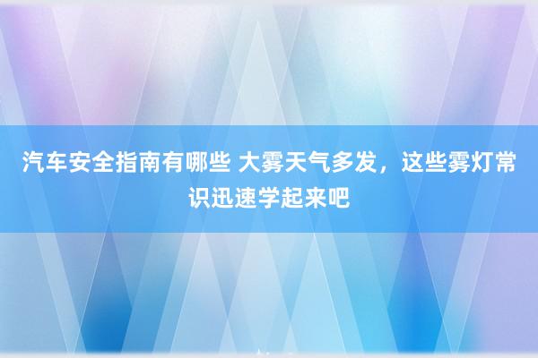 汽车安全指南有哪些 大雾天气多发，这些雾灯常识迅速学起来吧