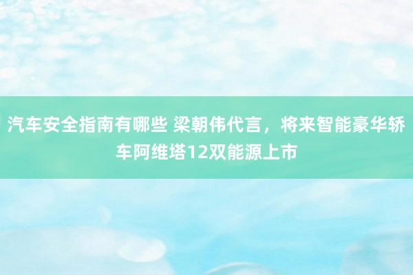 汽车安全指南有哪些 梁朝伟代言，将来智能豪华轿车阿维塔12双能源上市