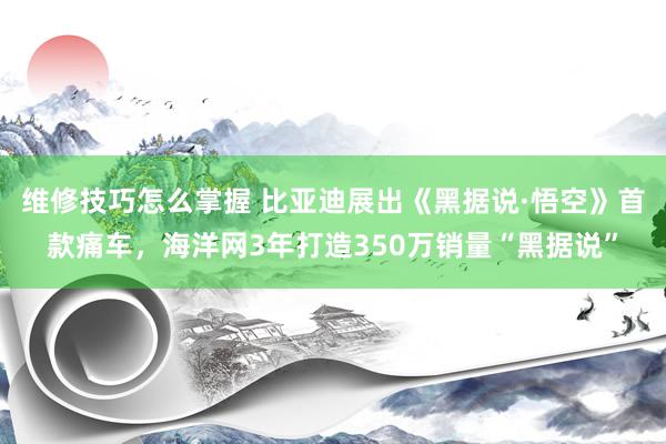 维修技巧怎么掌握 比亚迪展出《黑据说·悟空》首款痛车，海洋网3年打造350万销量“黑据说”