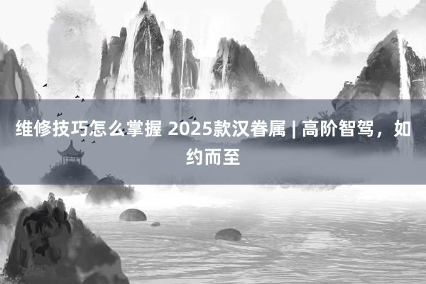 维修技巧怎么掌握 2025款汉眷属 | 高阶智驾，如约而至