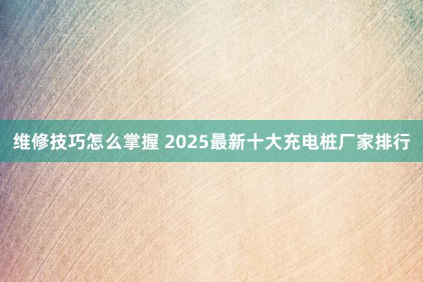 维修技巧怎么掌握 2025最新十大充电桩厂家排行