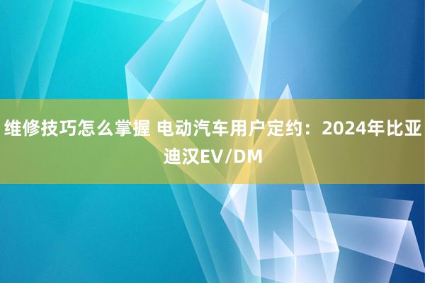 维修技巧怎么掌握 电动汽车用户定约：2024年比亚迪汉EV/DM