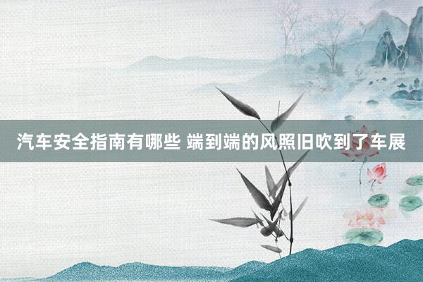 汽车安全指南有哪些 端到端的风照旧吹到了车展