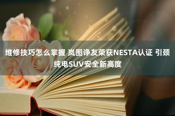 维修技巧怎么掌握 岚图诤友荣获NESTA认证 引颈纯电SUV安全新高度