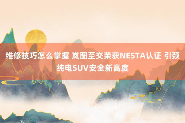 维修技巧怎么掌握 岚图至交荣获NESTA认证 引颈纯电SUV安全新高度