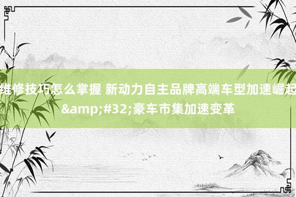 维修技巧怎么掌握 新动力自主品牌高端车型加速崛起&#32;豪车市集加速变革