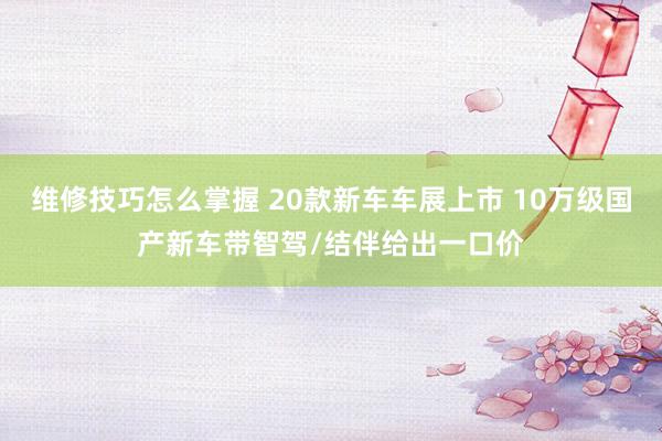 维修技巧怎么掌握 20款新车车展上市 10万级国产新车带智驾/结伴给出一口价