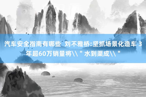 汽车安全指南有哪些  刘不雅桥:坚抓场景化造车 3年超60万销量将\＂水到渠成\＂