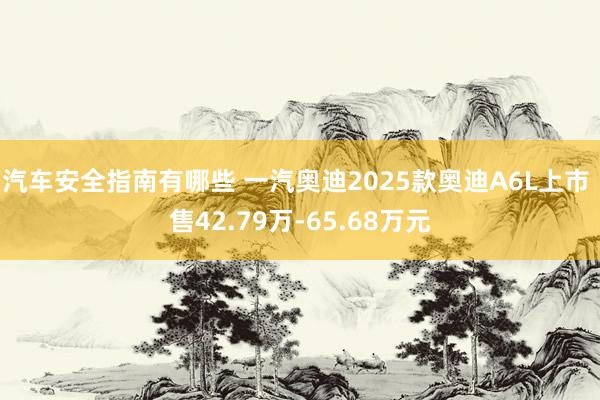 汽车安全指南有哪些 一汽奥迪2025款奥迪A6L上市 售42.79万-65.68万元