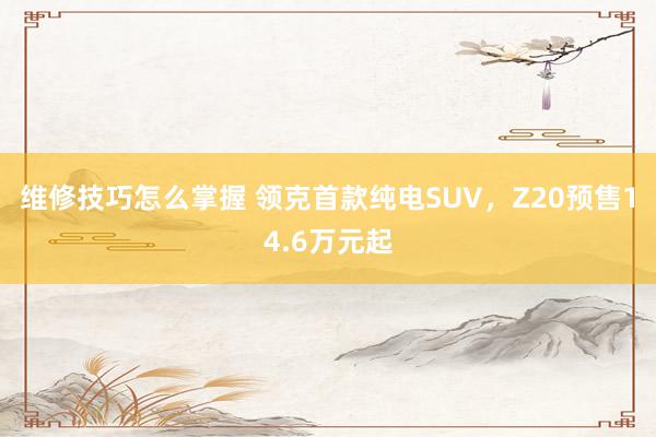 维修技巧怎么掌握 领克首款纯电SUV，Z20预售14.6万元起