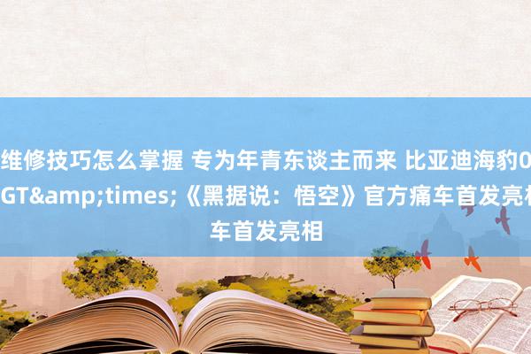 维修技巧怎么掌握 专为年青东谈主而来 比亚迪海豹06GT&times;《黑据说：悟空》官方痛车首发亮相