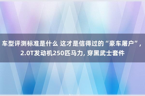 车型评测标准是什么 这才是信得过的“豪车屠户”, 2.0T发动机250匹马力, 穿黑武士套件