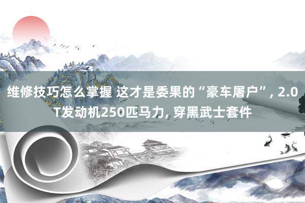 维修技巧怎么掌握 这才是委果的“豪车屠户”, 2.0T发动机250匹马力, 穿黑武士套件