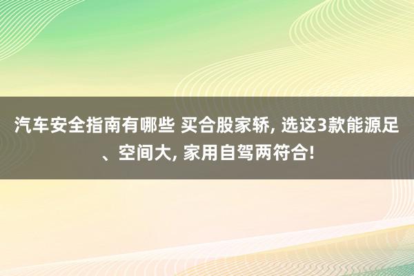 汽车安全指南有哪些 买合股家轿, 选这3款能源足、空间大, 家用自驾两符合!