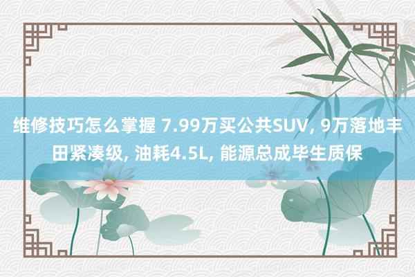 维修技巧怎么掌握 7.99万买公共SUV, 9万落地丰田紧凑级, 油耗4.5L, 能源总成毕生质保