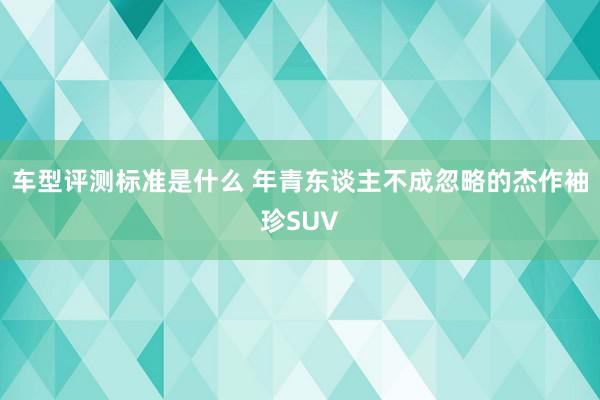 车型评测标准是什么 年青东谈主不成忽略的杰作袖珍SUV