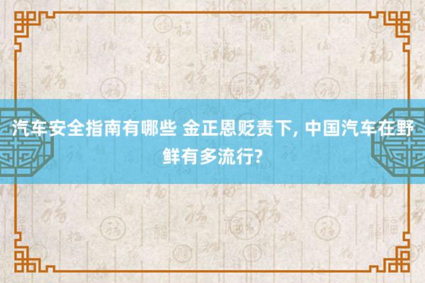 汽车安全指南有哪些 金正恩贬责下, 中国汽车在野鲜有多流行?