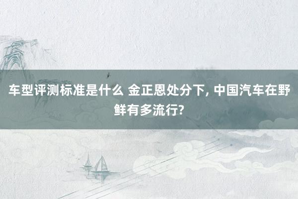 车型评测标准是什么 金正恩处分下, 中国汽车在野鲜有多流行?