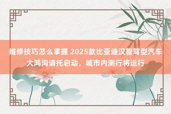 维修技巧怎么掌握 2025款比亚迪汉智驾型汽车大鸿沟请托启动，城市内测行将运行